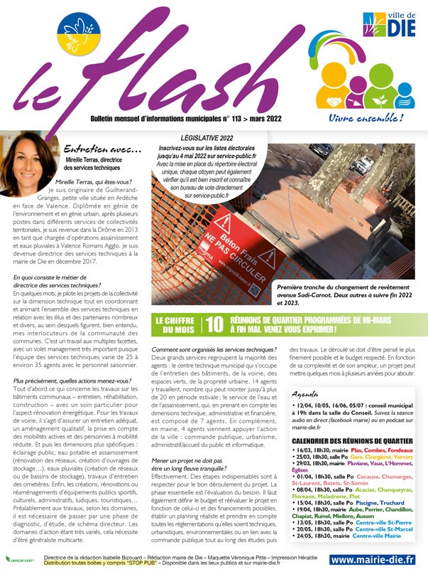 Flash 113