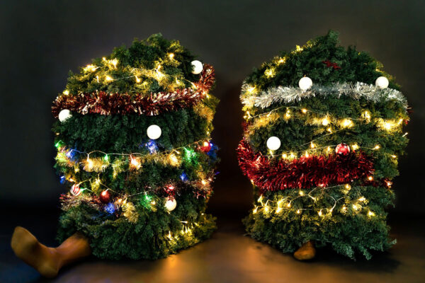 Sapins-de-noël-3-Mo